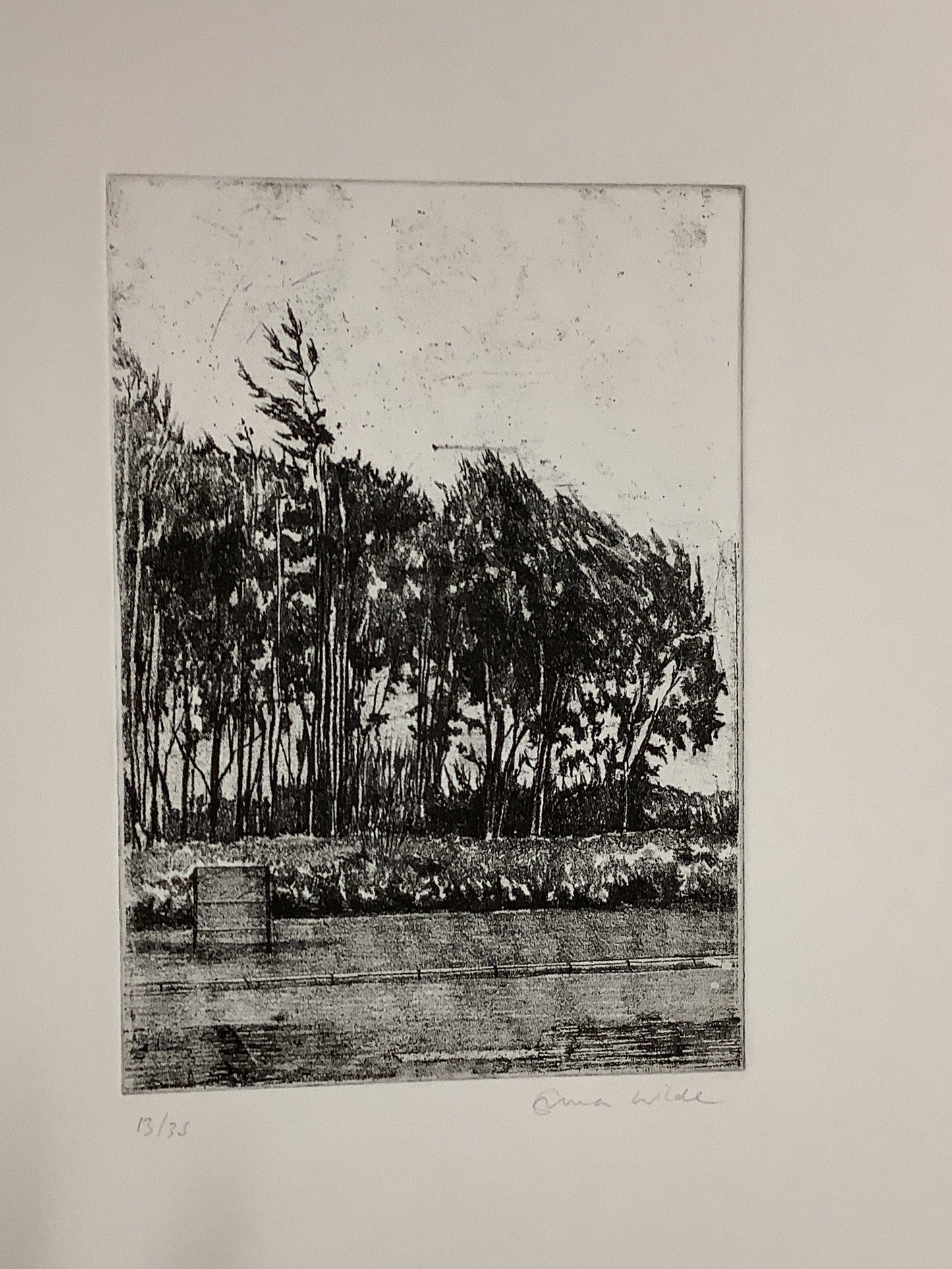 Emma Wilde print Lampposts and Trees