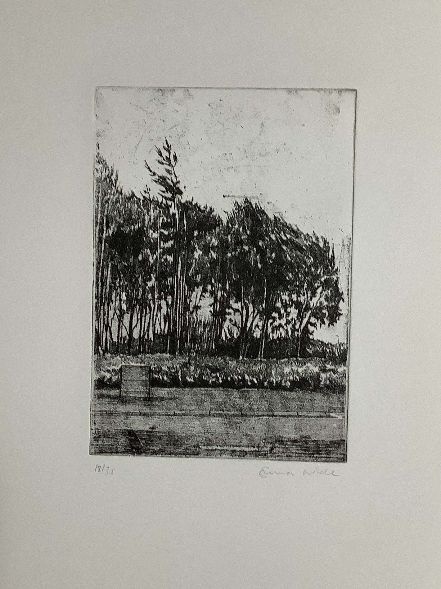 Emma Wilde print Windy Tree