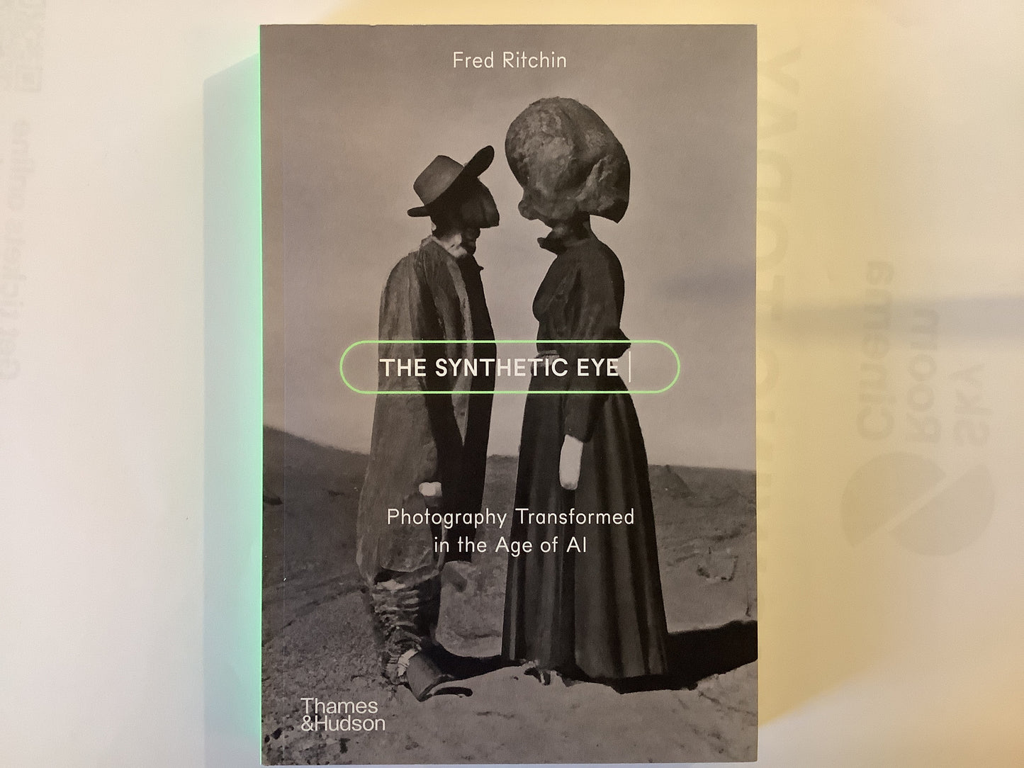 The Synthetic Eye