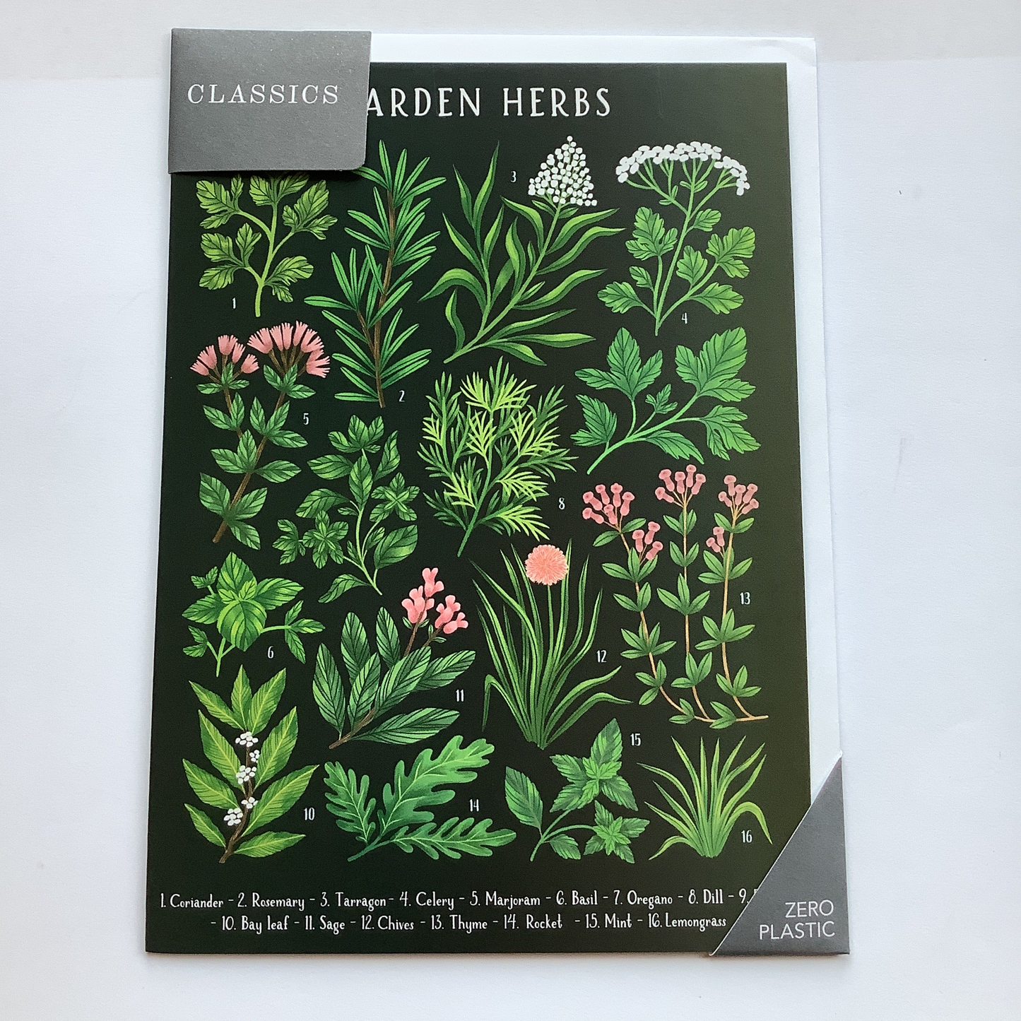 Garden Herbs