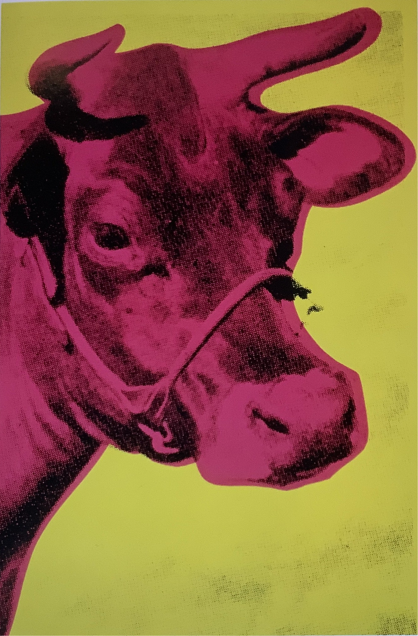 Andy Warhol Greetings Cards