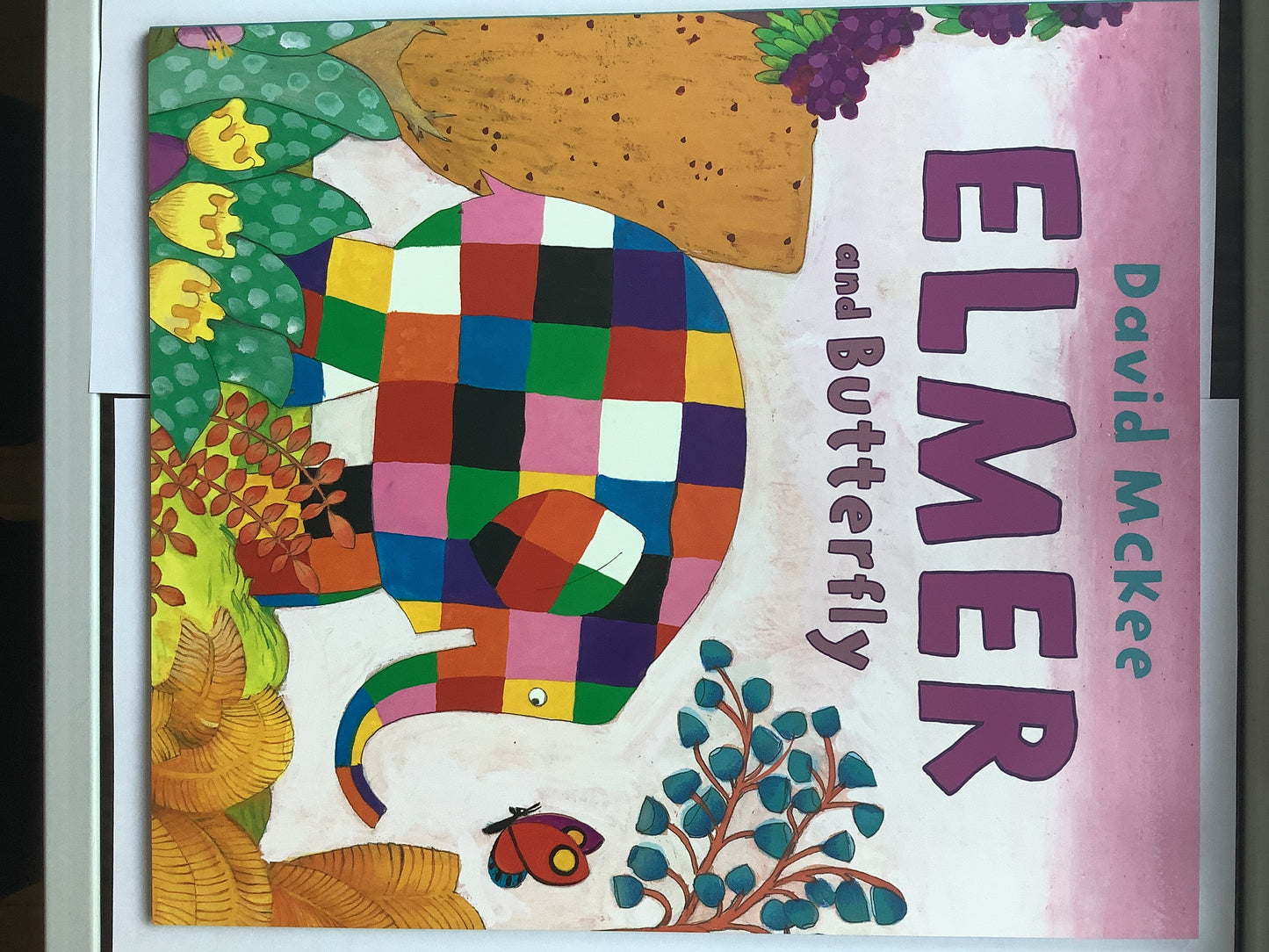 Elmer and The Butterfly