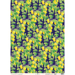 Lemon Grove Wrap