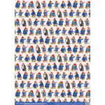 Paddington Bear Wrap